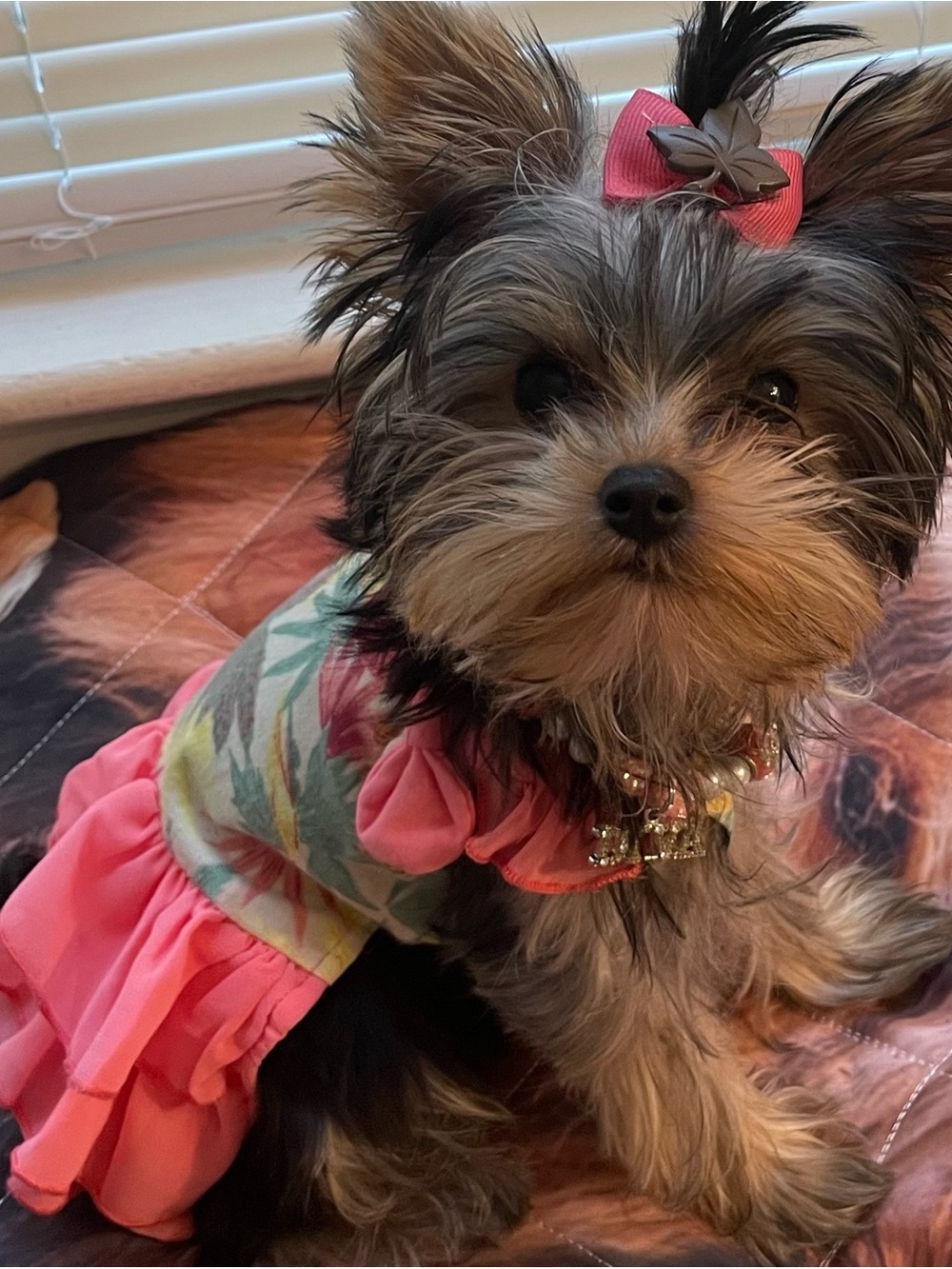 Floral Ruffle Dress with Bow Straps - Picture 5 of 6